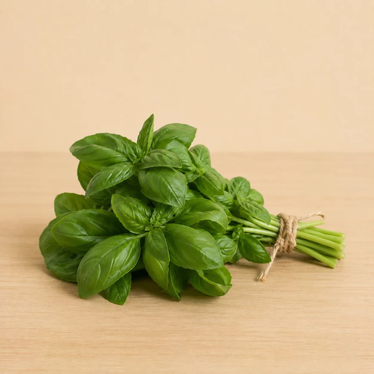 Albahaca (manojo)